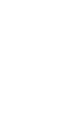左邊裝飾
